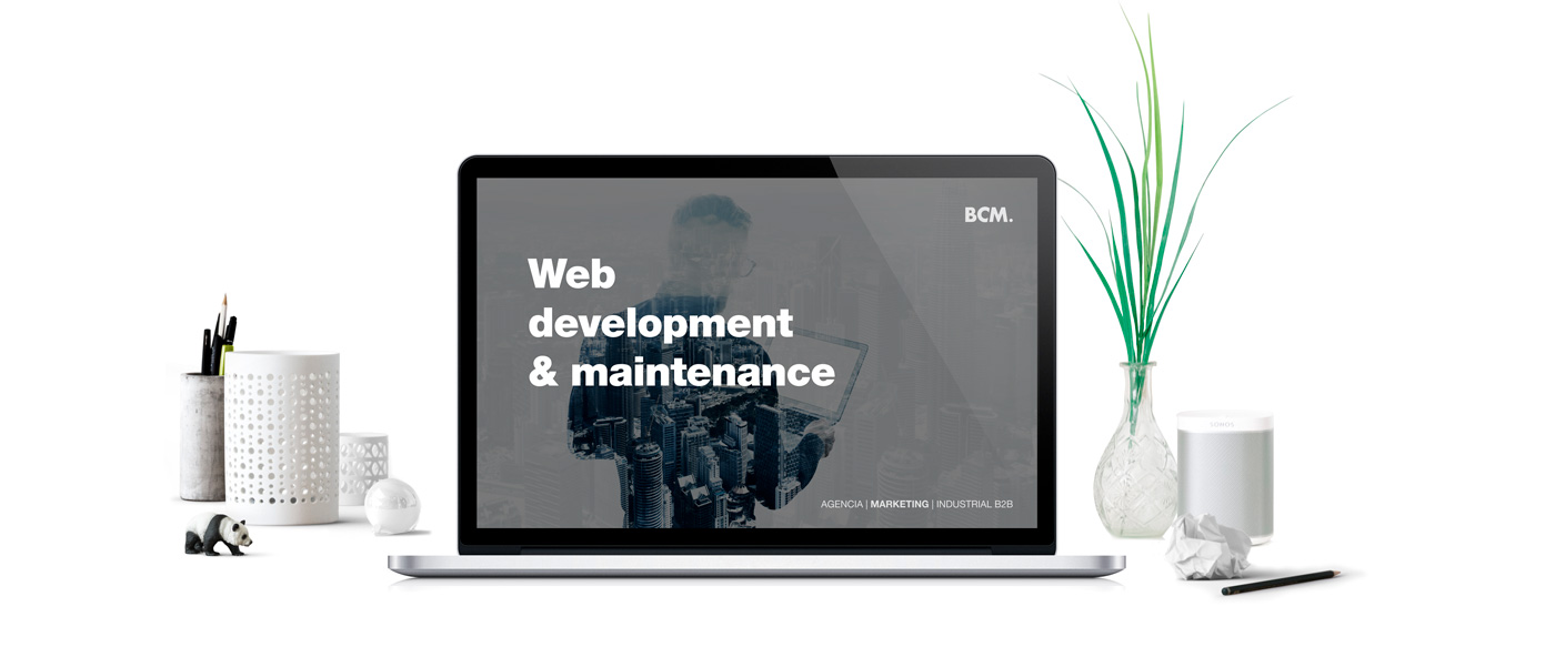Website Development and Maintenance overview